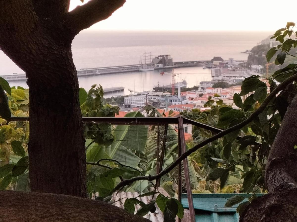 Quintinha dos Reis Funchal (Madeira) Exterior foto